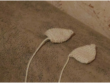 P 20161115 232604 1.jpg