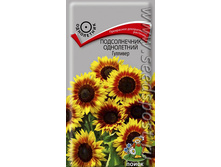 ������������ �������� 0,3� ����� 11,00���.[���.��000003265]