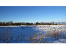 584d09671ca92 20161210100946.JPG