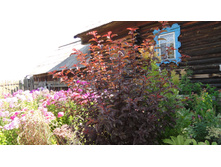 ������������� ���� �� ���