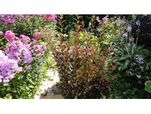 ������������� ����� �����