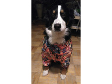 IMG 20161220 201552.jpg