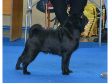 ����������� ������ ����� - ������ ������������� ������ ������� ������, ������ ������ ������������ ��������