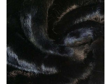 �**���� ������ �����������