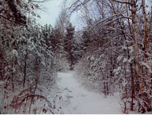 IMG 20161203 095308.jpg