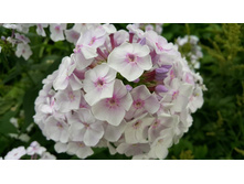 ��������   ��������