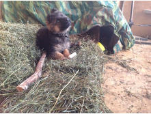 �������