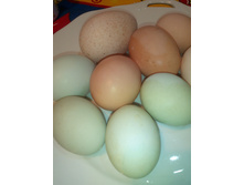 �������))