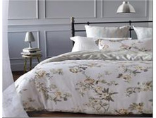 Satico �������.JPG