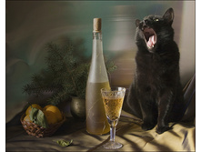 � ����� �����!