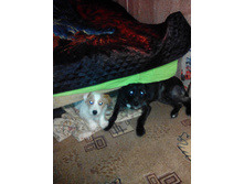 IMG 20161130 202526.jpg