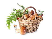 ������� ��� ���������, 35 ��. ������