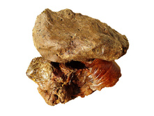 �������� 1��.jpg