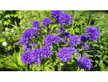 �����. ��������� ����������