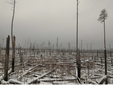 P 20161105 101700.jpg