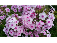 ����������� ��  ���  2