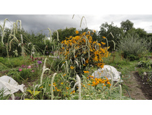 ����������� �����