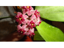 ���� ������������� ..