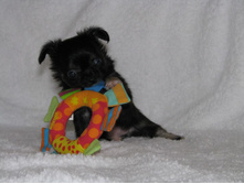 15338660 1223097834423304 7403015544783381489 n.jpg