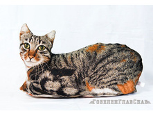 ������- �������-������� ����������� 62�33�15 738�.jpg