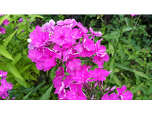 ��������� �� ����� "�����"