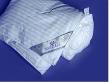 ��� picture10.JPG