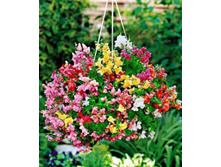 ������� ��� ��������� ������ 5�� ������ 9,10���.[���.��000004912]