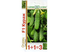 ������ ����� F1(1+1) 20�� ������ 31,47���. [���.10000522]