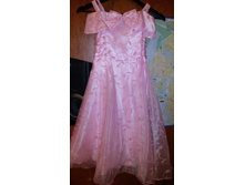 �/� ������