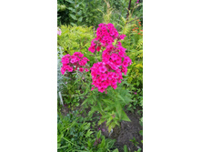 ����   �����������