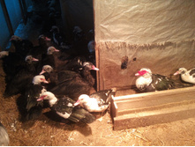 IMG 20161201 155127.jpg