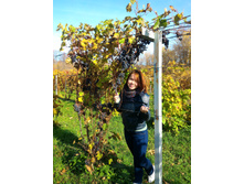 P 20161009 113723.jpg