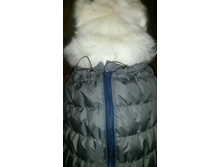 ������������   pupsiki