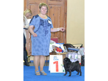 ����������� ������ �������� - ������ ���� ������� ������