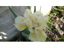 ��������� ������