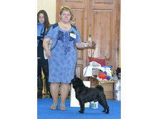 ����������� ������ ����� - ������ ������������� ������ ������� ������, ������ ������ ������������ ��������