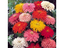 ����� ����� ����� 8,99���.[���.3000887]