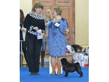 ����������� ������ �������� - ������ ���� ������� ������