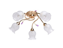 670010605 1900� !.jpg