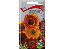 ������������ ���� ��� ���������� 0,5� ����� 14,00���[���.3004987]