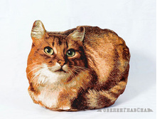 �����- �������-������� ����������� 35�35�16 463�.jpg