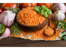 ������� ��������