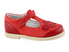 ���������������� �������������� ����� (������ ������) ���. 55-189