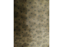 ����� No31