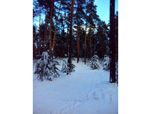 IMG 20161210 120214.jpg