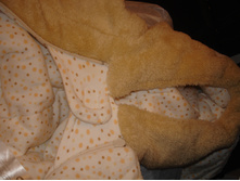 ������� ������� � ����������