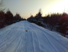 IMG 20161203 135958.jpg