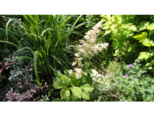 ��������� �������