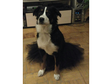 IMG 20161209 072051.jpg