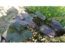 ��������� ������